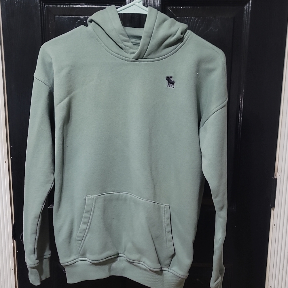 Abercrombie & Fitch Kids Sage Green Pullover Hoodie